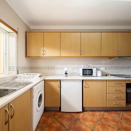 Palm Tree With Pool By Homing Lejlighed